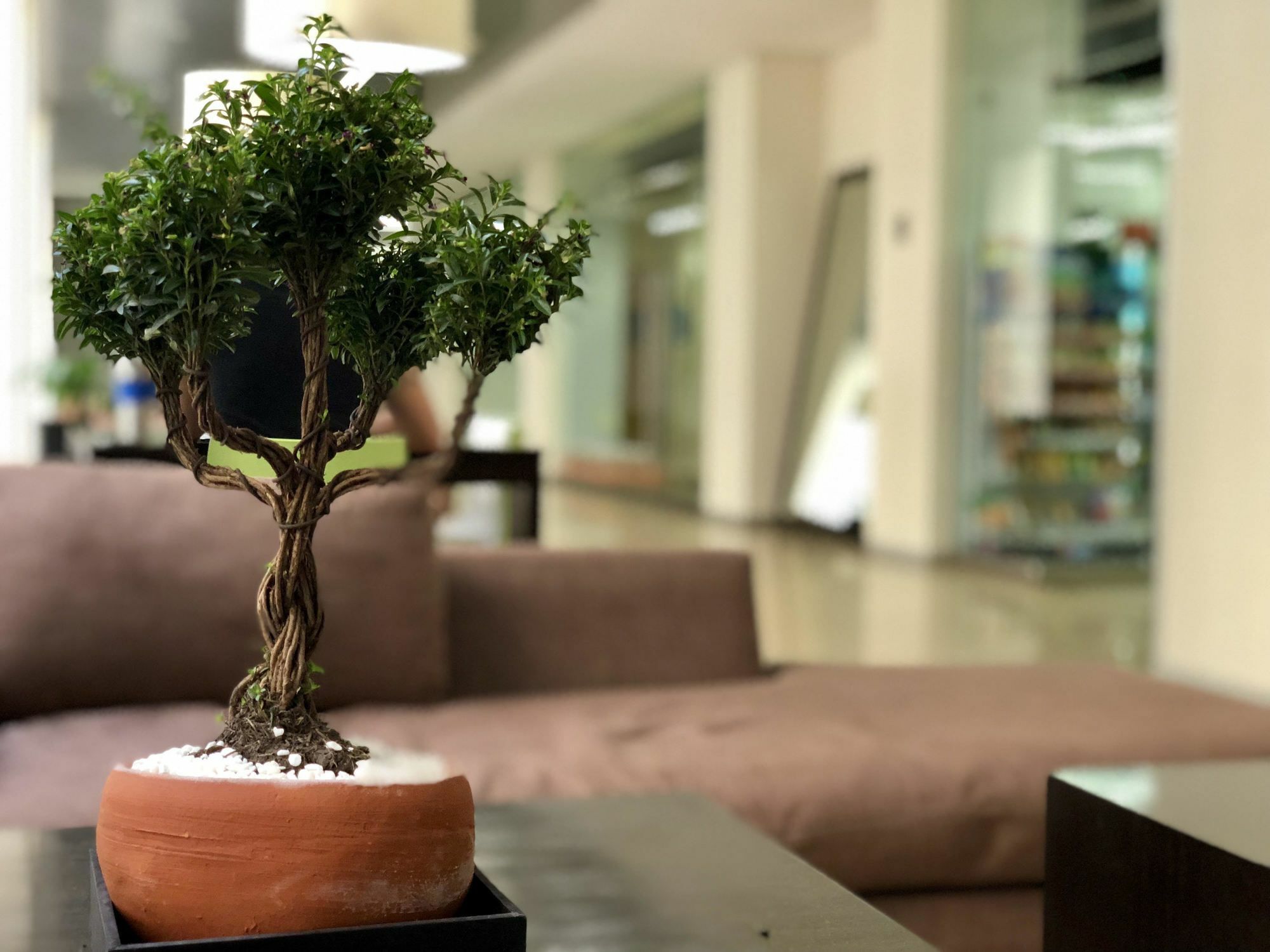 Boutique Apartment Puerta Alameda-801 Mexico City Ngoại thất bức ảnh